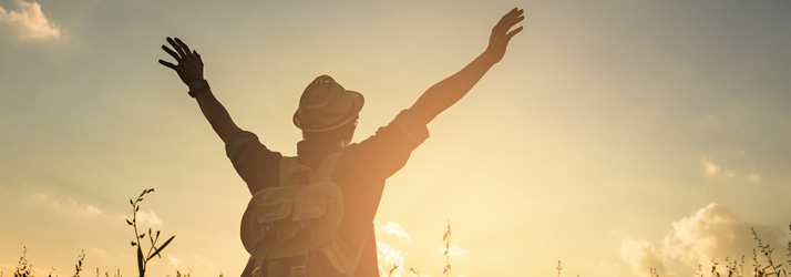 Why We Treat the Root, Not Just the Symptom in Orland Park IL